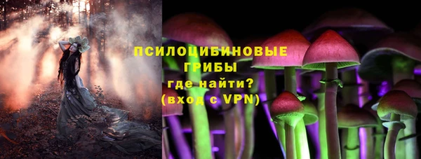 ГАЛЛЮЦИНОГЕННЫЕ ГРИБЫ Армянск