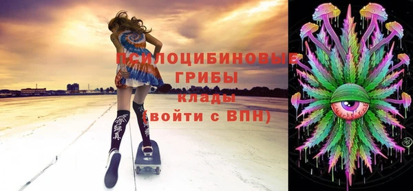 твердый Балахна