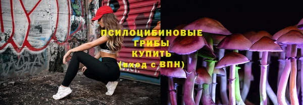 твердый Балахна