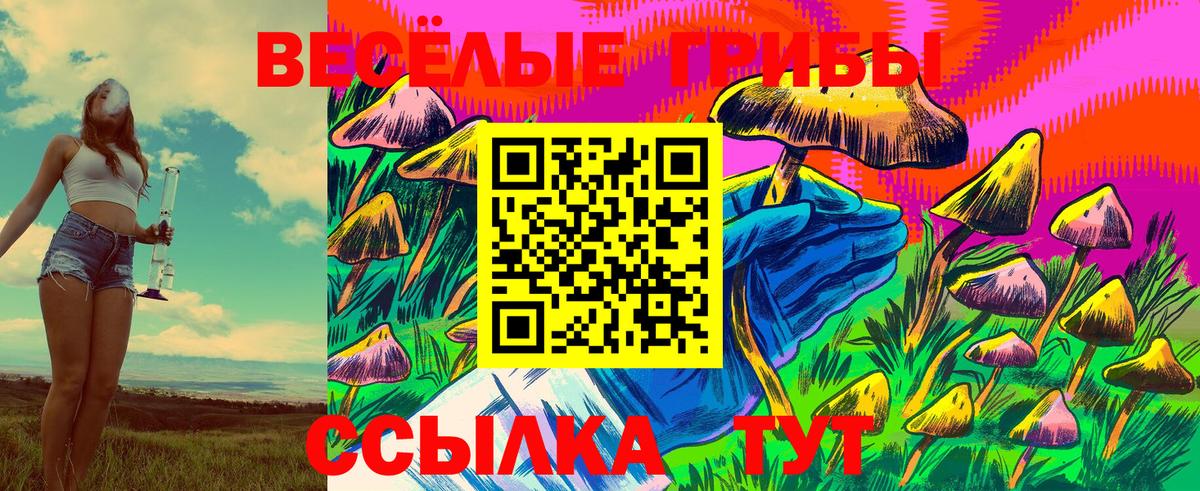 Галлюциногенные грибы мицелий  Асбест  Галлюциногенные грибы Psilocybe 