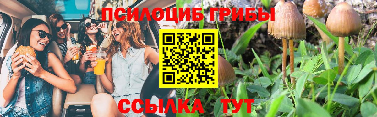 Асбест  Псилоцибиновые грибы Psilocybe  Вход с VPN 