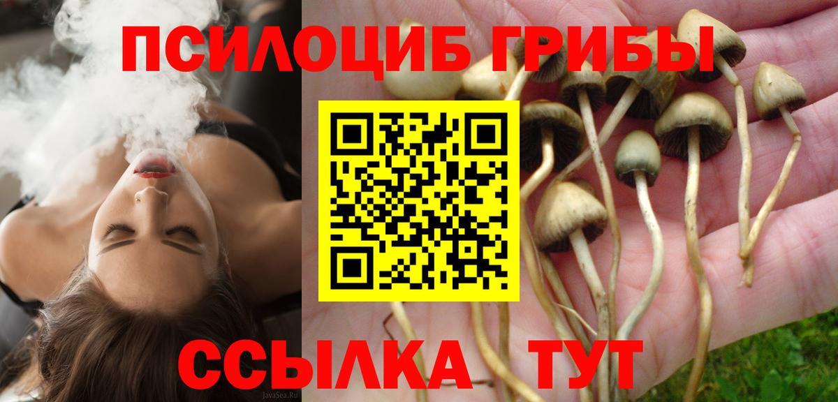 Галлюциногенные грибы мицелий Асбест