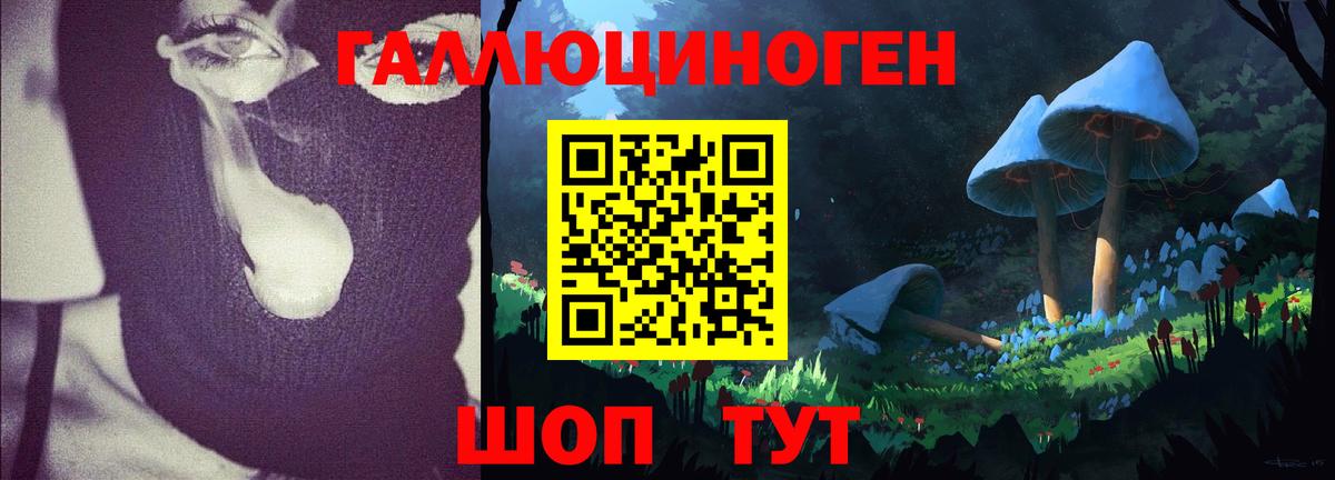 Галлюциногенные грибы прущие грибы Асбест